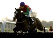 4 December 2005; Old Flame with John Cullen up, jumps the last on the way to winning the McGarrell Reilly Homes Handicap Steeplechase. Fairyhouse Racecourse, Co. Meath. Picture credit: Matt Browne / SPORTSFILE