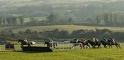 11 December 2005; The runners and riders lead by Blueberry Boy jump the fourth during the INH Stallion Owners EBF Novice Hurdle. Punchestown Racecourse, Co. Kildare. Picture credit: Matt Browne / SPORTSFILE