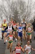 11 December 2005; Athletes including Ireland's Jolene Byrne, 133, in action during the Women's Senior European Cross Country Championships, Tilburg, Netherlands. Picture credit: Damien Eagers / SPORTSFILE
