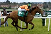 27 December 2005; Vox Populi, with Tony McCoy up, on their way to winning the Paddy Power Festival 3-Y-O Hurdle. Leopardstown Racecourse, Co. Dublin. Picture credit: David Maher / SPORTSFILE