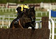 28 December 2005; Southern Vic, with Ruby Walsh up, jumps the last on their way to winning the Ascon/Rohcon Novice Steeplechase. Leopardstown Racecourse, Co. Dublin. Picture credit: Matt Browne / SPORTSFILE