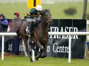 29 December 2005; Firth of fourth, with Tony McCoy up, on their way to winning the Bewleys Hotel Glasgow Maiden Hurdle. Leopardstown Racecourse, Co. Dublin. Picture credit: Brian Lawless / SPORTSFILE