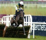 29 December 2005; Firth of fourth, with Tony McCoy up, clears the last on their way to winning the Bewleys Hotel Glasgow Maiden Hurdle. Leopardstown Racecourse, Co. Dublin. Picture credit: Brian Lawless / SPORTSFILE