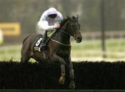 29 December 2005; Nickname, with Conor O'Dwyer up, on their way to winning the Bewleys Hotel Manchester Beginners Steeplechase. Leopardstown Racecourse, Co. Dublin. Picture credit: Brian Lawless / SPORTSFILE