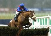 15 January 2006; Studmaster, with Tom Treacy up, on their way to winning the Pierse Hurdle. Leopardstown Racecourse, Co. Dublin. Picture credit: Matt Browne / SPORTSFILE