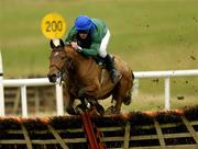 19 January 2006; Campanella, with David Russell up, on their way to winning the Gain Horse Feeds Hurdle. Thurles Racecourse, Thurles, Co. Tipperary. Picture credit: Matt Browne / SPORTSFILE