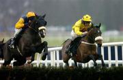 29 December 2005; Levitator, with Davy Russell up, right, alongside Rocket Ship, Paul Carberry up, during the Bewleys Hotel Leeds Hurdle. Leopardstown Racecourse, Co. Dublin. Picture credit: Brian Lawless / SPORTSFILE