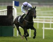 29 December 2005; Nickname, with Conor O'Dwyer up, on their way to winning the Bewleys Hotel Manchester Beginners Steeplechase. Leopardstown Racecourse, Co. Dublin. Picture credit: Brian Lawless / SPORTSFILE