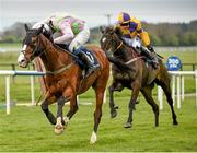 20 April 2014; Daneking, with Paul Townend up, leads Darwins Fox, with Brian O'Connell up, on their way to winning The Boylesports Easter Festival Handicap Hurdle. Fairyhouse Easter Festival, Fairyhouse, Co. Meath. Picture credit: Ramsey Cardy / SPORTSFILE