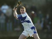 29 January 2006; Patrick Mullaney, Laois goalkeeper. Walsh Cup, Laois v Kilkenny, Kelly Daly Park, Rathdowney, Co. Laois. Picture credit; Damien Eagers / SPORTSFILE