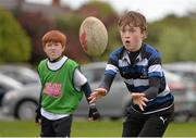 23 April 2014; Tadgh Harnett, aged 12, from Sandymount, Co. Dublin, in action during the Leinster School of Excellence on tour in Wanderers RFC, Merrion Road, Ballsbridge, Dublin. Picture credit: Ramsey Cardy / SPORTSFILE