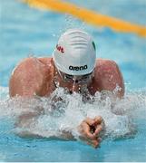 24 April 2014; Barry Murphy, Aer Lingus swimming club, on his way to winning the Men's 50m Breaststroke Final at the 2014 Irish Long Course National Championships. National Aquatic Centre, Abbotstown, Dublin. Picture credit: Brendan Moran / SPORTSFILE
