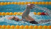 24 April 2014; Antoinette Neamt, Tallaght swimming club, on her way to winning the Women's 800m Freestyle Final at the 2014 Irish Long Course National Championships. National Aquatic Centre, Abbotstown, Dublin. Picture credit: Brendan Moran / SPORTSFILE