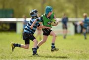 24 April 2014; Action from the Leinster School of Excellence on tour in Navan RFC, Navan, Co. Meath. Picture credit: Stephen McCarthy / SPORTSFILE