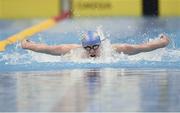 25 April 2014; Shani Stallard, UCD, competing in the A final of the Women's 400 meter Individual Medley at the 2014 Irish Long Course National Championships. National Aquatic Centre, Abbotstown, Dublin. Photo by Sportsfile