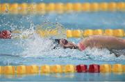 26 April 2014; Melony Houghton, Airlingus, competing in the Women's 100m Freestyle Final at the 2014 Irish Long Course National Championships. National Aquatic Centre, Abbotstown, Dublin. Photo by Sportsfile