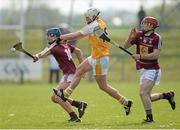 27 April 2014; Aaoran Graffin, Antrim, in action against Robbie Graville and Aonghus Clarke, Westmeath. GAA All-Ireland Senior Hurling Championship Qualifier Group - Round 1, Antrim vWestmeath. Ballycastle, Co. Antrim Picture credit: Oliver McVeigh / SPORTSFILE