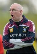 27 April 2014; Brian Hanley, Westmeath manager. GAA All-Ireland Senior Hurling Championship Qualifier Group - Round 1, Antrim vWestmeath. Ballycastle, Co. Antrim Picture credit: Oliver McVeigh / SPORTSFILE