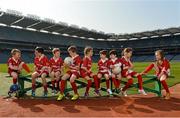 29 April 2014; Children, from left to right, Adam Dawson, age 6, Dunmore, Co. Waterford, Liam Hosford, age 10, Dublin, Sean Hosford, age 8, Dublin, Finn Bruton, age 8, Dublin, Siun McFerran, age 6, Dublin, Finian Malone, age 6, Dublin, Caelan Malone, age 4, Dublin, Freya McFerran, age 6, Dublin, and Orlaith Bruton, age 5, Dublin, in attendance at the launch of the Kellogg’s GAA Cúl Camps 2014. Research commissioned by Kellogg’s to celebrate the 2014 launch, found that Gaelic games continue to enjoy huge popularity in Ireland with 73% of families devoting more than 10 hours per month to GAA sports. Croke Park, Dublin. Picture credit: David Maher / SPORTSFILE