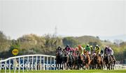 29 April 2014; A view of the field making their way past the stand during the Goffs Land Rover Bumper. Punchestown Racecourse, Punchestown, Co. Kildare. Picture credit: Barry Cregg / SPORTSFILE
