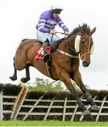 30 April 2014; Master Oscar, with Jody McGarvey up, jumps the last on their way to winning the Martinstown Opportunity Series Final Handicap Hurdle. Punchestown Racecourse, Punchestown, Co. Kildare. Picture credit: Matt Browne / SPORTSFILE