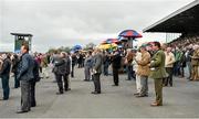 30 April 2014; A view of racegoers as they watch the Martinstown Opportunity Series Final Handicap Hurdle from the betting area. Punchestown Racecourse, Punchestown, Co. Kildare. Picture credit: Barry Cregg / SPORTSFILE