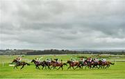30 April 2014; Carraig Mor, with Wayne Hutchinson up, leads the field during the Louis Fitzgerald Hotel Hurdle. Punchestown Racecourse, Punchestown, Co. Kildare. Picture credit: Barry Cregg / SPORTSFILE