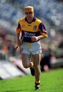 20 June 1999; Michael Jordan of Wexford during the Guinness Leinster Senior Hurling Championship semi-final match between Offaly and Wexford at Croke Park in Dublin. Photo by Ray McManus/Sportsfile