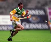 20 June 1999; Johnny Pilkington of Offaly during the Guinness Leinster Senior Hurling Championship semi-final match between Offaly and Wexford at Croke Park in Dublin. Photo by Ray McManus/Sportsfile