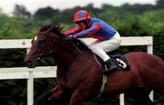 7 June 1999; Monashee Mountain, with Michael Kinane up, on their way to winning the Rochestown Stakes at Leopardstown Racecourse in Dublin. Photo by Matt Browne/Sportsfile