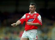 6 June 1999; Stefan White of Louth during the Bank of Ireland Leinster Senior Football Championship quarter-final match between Dublin and Louth at Croke Park in Dublin. Photo by Brendan Moran/Sportsfile
