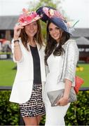 30 April 2014; Aoife Chamberlayne, left, from Co. Meath, and Sarah Clarke, from Brittas, Dublin, enjoying a day at the races. Punchestown Racecourse, Punchestown, Co. Kildare. Picture credit: Barry Cregg / SPORTSFILE