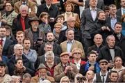 2 May 2014; A general view of the racegoers watching the Aon Novice Handicap Steeplechase. Punchestown Racecourse, Punchestown, Co. Kildare. Picture credit: Barry Cregg / SPORTSFILE