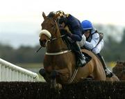 25 February 2006; In Compliance, with Barry Geraghty up, jumps the last on their way to winning the Sharp Electronics EBF Beginners Steeplechase. Fairyhouse Racecourse, Co. Meath. Picture credit: Matt Browne / SPORTSFILE