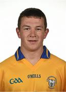 2 May 2014; David Reidy, Clare. Clare Hurling Squad Portraits 2014, Ennis, Co. Clare. Picture credit: Diarmuid Greene / SPORTSFILE