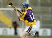 26 February 2006; Rory Jacob, Wexford. Allianz National Hurling League, Division 1A, Round 2, Wexford v Clare, Wexford Park, Wexford. Picture credit: Matt Browne / SPORTSFILE