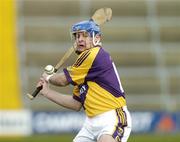 26 February 2006; Michael Jordan, Wexford. Allianz National Hurling League, Division 1A, Round 2, Wexford v Clare, Wexford Park, Wexford. Picture credit: Matt Browne / SPORTSFILE