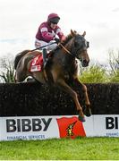30 April 2014; First Lieutenant, with Barry Geraghty up, jumps the last during the Bibby Financial Services Ireland Punchestown Gold Cup. Punchestown Racecourse, Punchestown, Co. Kildare. Picture credit: Barry Cregg / SPORTSFILE