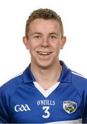 8 May 2014; Stephen Attride, Laois. Laois Football Squad Portraits 2014, O'Moore Park, Portlaoise, Co. Laois. Picture credit: Brendan Moran / SPORTSFILE