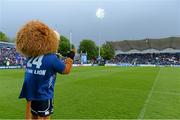 10 May 2014; Leinster mascot Leo the Lion. Celtic League 2013/14, Round 22, Leinster v Edinburgh, RDS, Ballsbridge, Dublin. Picture credit: Brendan Moran / SPORTSFILE