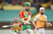 4 May 2014; Paul Coady, Carlow. GAA All-Ireland Senior Hurling Championship Qualifier Group - Round 2, Carlow v Antrim, Dr. Cullen Park, Carlow. Picture credit: Barry Cregg / SPORTSFILE