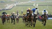 14 March 2006; Brave Inca, 3rd from right, with Tony McCoy up, lead eventual second Mac's Joy, with Barry Geraghty up, and eventual third Hardy Eustace, right, with Conor O'Dwyer up, on their way to winning the Smurfit Kappa Champion Hurdle Challenge Trophy. Cheltenham Festival, Prestbury Park, Cheltenham, England. Picture credit: Brian Lawless / SPORTSFILE