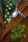 17 March 2006; An Irish racegoer wears shamrock to mark St Patrick's Day. Cheltenham Festival, Prestbury Park, Cheltenham, England. Picture credit: Brendan Moran / SPORTSFILE