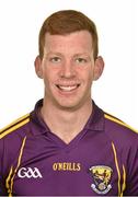 12 May 2014; Andrew Shore, Wexford. Wexford Hurling Squad Portraits 2014, St. Martin's GAA Club, Piercetown, Co. Wexford. Picture credit: Barry Cregg / SPORTSFILE