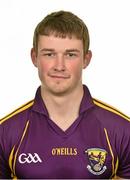 12 May 2014; Ian Byrne, Wexford. Wexford Hurling Squad Portraits 2014, St. Martin's GAA Club, Piercetown, Co. Wexford. Picture credit: Barry Cregg / SPORTSFILE