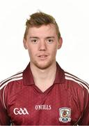 14 May 2014; Padraig Breheny, Galway, Galway Hurling Squad Portraits 2014, Salthill, Galway. Picture credit: Barry Cregg / SPORTSFILE