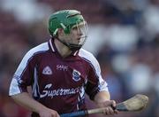 2 April 2006; Fergal Healy, Galway. Allianz National Hurling League, Division 1B, Round 5, Galway v Kilkenny, Pearse Stadium, Galway. Picture credit: David Maher / SPORTSFILE