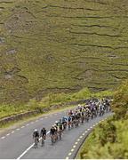 21 May 2014; The peloton ride along the Ring of Kerry during Stage 4 of the 2014 An Post Rás. Charleville - Cahirciveen. Picture credit: Ramsey Cardy / SPORTSFILE