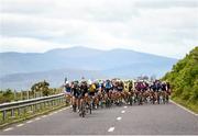 21 May 2014; The New Zealand National Team lead the peloton during Stage 4 of the 2014 An Post Rás. Charleville - Cahirciveen. Picture credit: Ramsey Cardy / SPORTSFILE