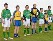 18 May 2014; Children from the Cumann na mBunscoil exhibition games form a guard of honour for both teams before the game. Connacht GAA Football Senior Championship Quarter-Final, Roscommon v Leitrim, Dr. Hyde Park, Roscommon. Picture credit: Piaras Ó Mídheach / SPORTSFILE